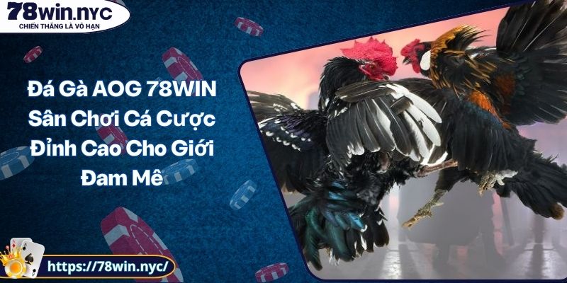 Đá Gà AOG 78WIN Sân Chơi Cá Cược Đỉnh Cao Cho Giới Đam Mê