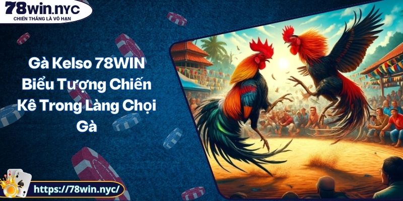 Gà Kelso 78WIN Biểu Tượng Chiến Kê Trong Làng Chọi Gà