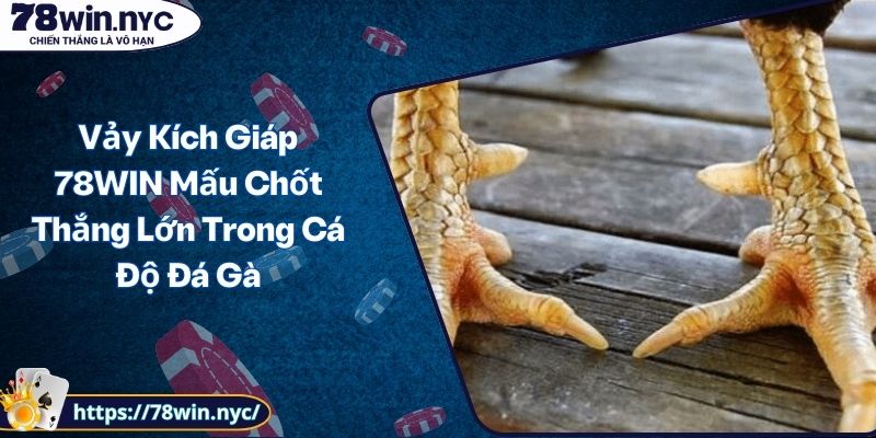 Vảy Kích Giáp 78WIN Mấu Chốt Thắng Lớn Trong Cá Độ Đá Gà